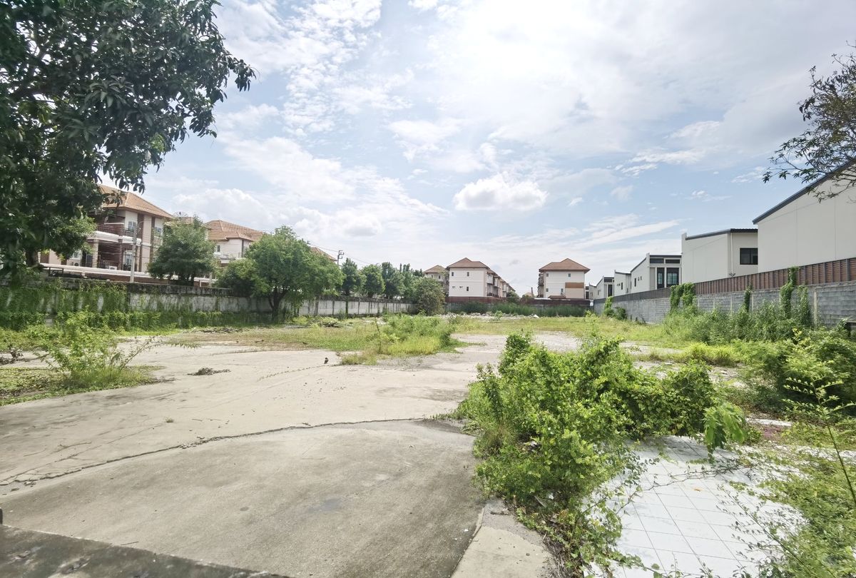 ขายที่ดินพระราม 5 ราชพฤกษ์ บางกรวย : 🔥 โอกาสทองของนักลงทุน! ที่ดินแปลงสวยถนนนครอินทร์ หลัง Makro ราคาดีที่สุดในย่าน! 🔥