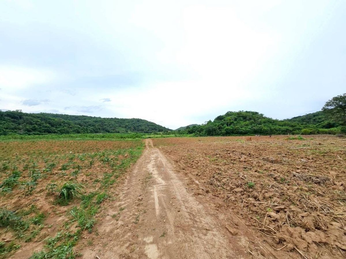 ขายที่ดินปากช่อง เขาใหญ่ : ขายที่ดินเปล่าเขาใหญ่ ตำบล หมูสี อำเภอปากช่อง  นครราชสีมา ใกล้ถนนธนรัชต์-เขาใหญ่เพียง 500 เมตร รหัส : L8044