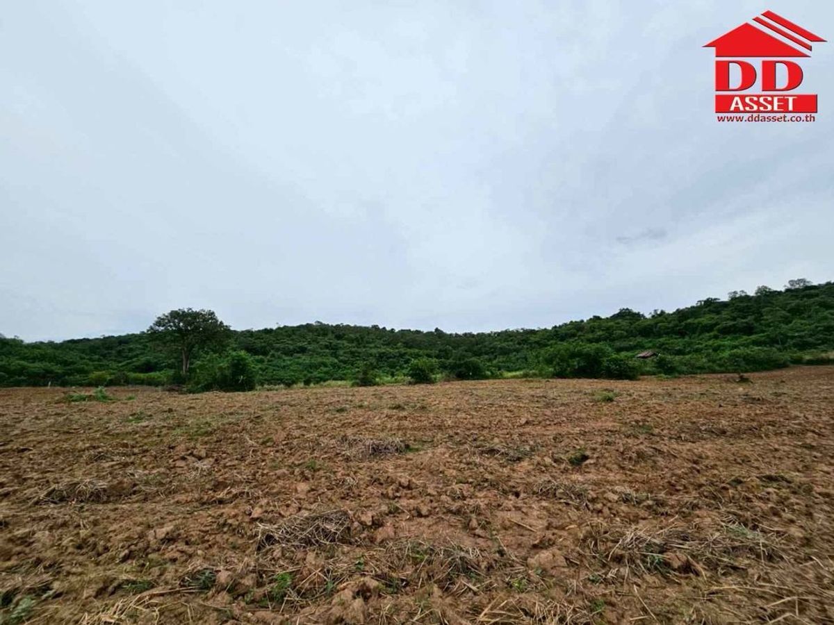 ขายที่ดินปากช่อง เขาใหญ่ : ขายที่ดินเปล่าเขาใหญ่ ตำบล หมูสี อำเภอปากช่อง  นครราชสีมา ใกล้ถนนธนรัชต์-เขาใหญ่เพียง 500 เมตร รหัส : L8044