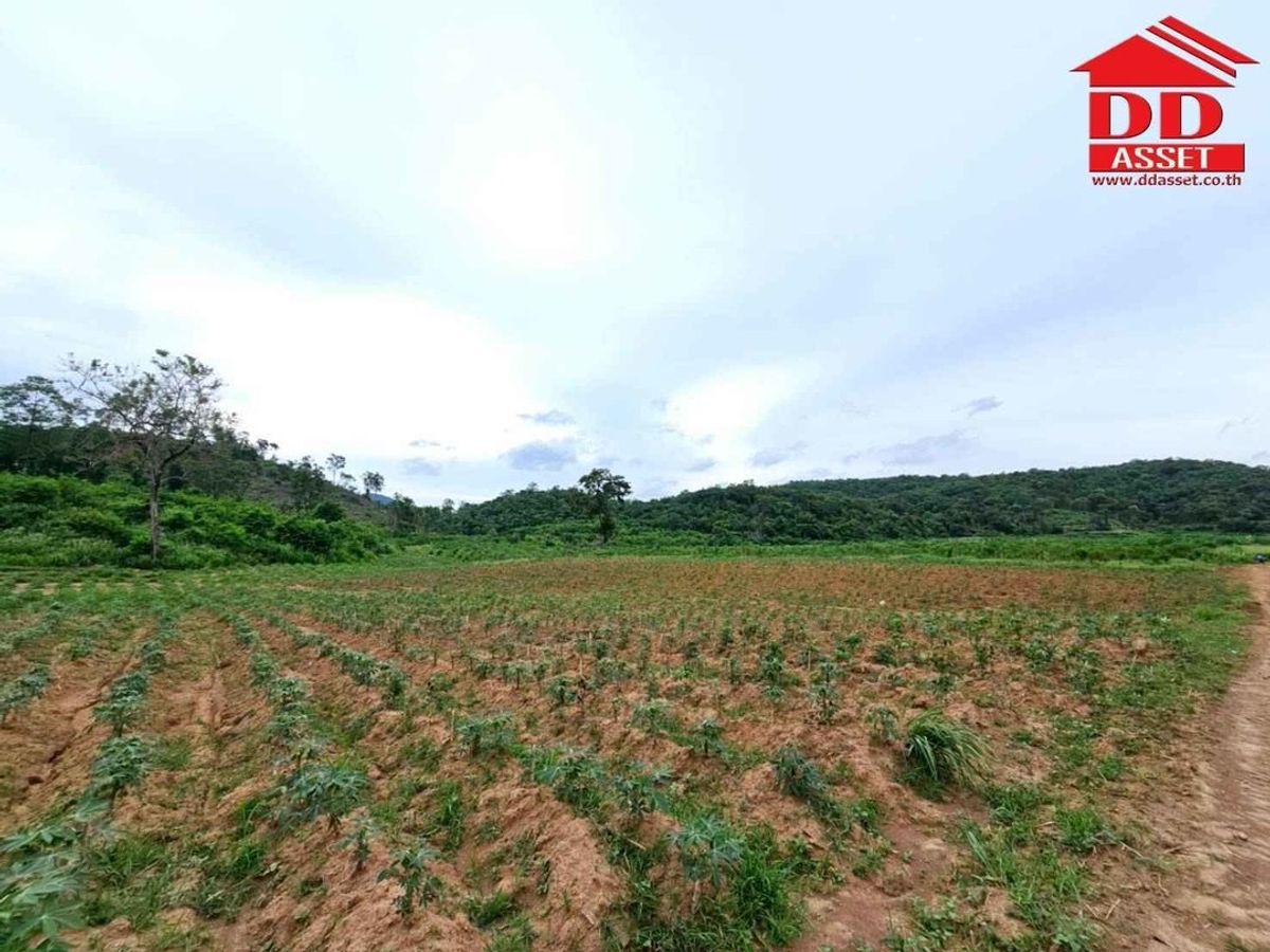 ขายที่ดินปากช่อง เขาใหญ่ : ขายที่ดินเปล่าเขาใหญ่ ตำบล หมูสี อำเภอปากช่อง  นครราชสีมา ใกล้ถนนธนรัชต์-เขาใหญ่เพียง 500 เมตร รหัส : L8044