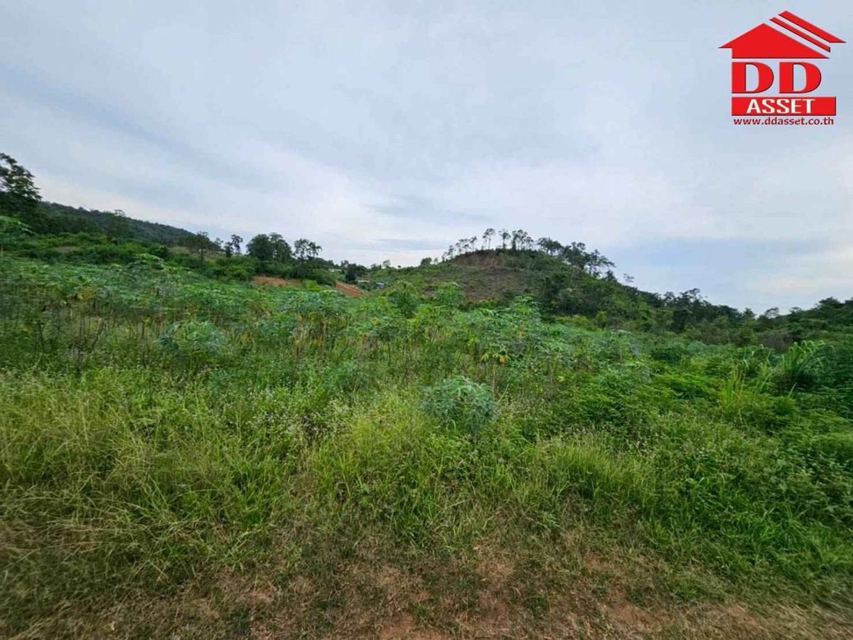 ขายที่ดินปากช่อง เขาใหญ่ : ขายที่ดินเปล่าเขาใหญ่ ตำบล หมูสี อำเภอปากช่อง  นครราชสีมา ใกล้ถนนธนรัชต์-เขาใหญ่เพียง 500 เมตร รหัส : L8044