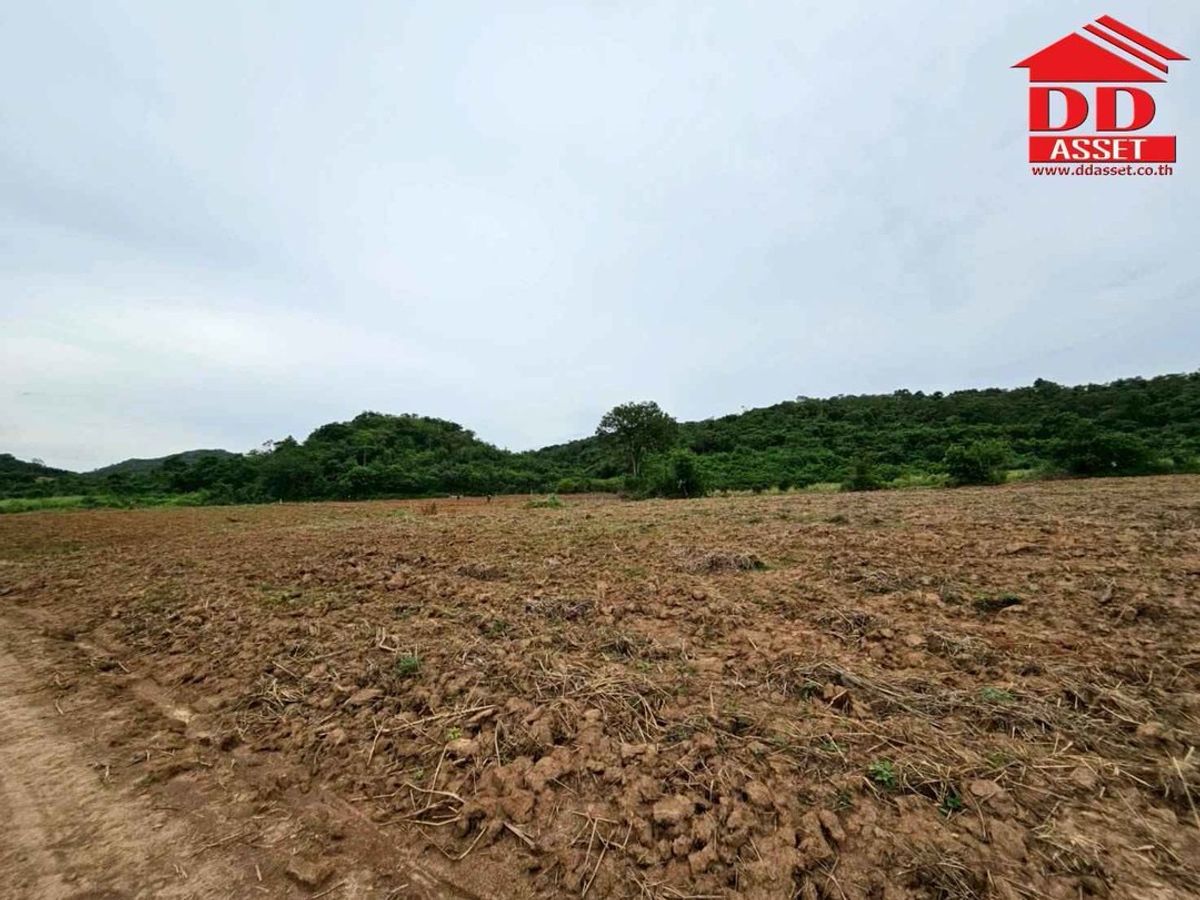 ขายที่ดินปากช่อง เขาใหญ่ : ขายที่ดินเปล่าเขาใหญ่ ตำบล หมูสี อำเภอปากช่อง  นครราชสีมา ใกล้ถนนธนรัชต์-เขาใหญ่เพียง 500 เมตร รหัส : L8044