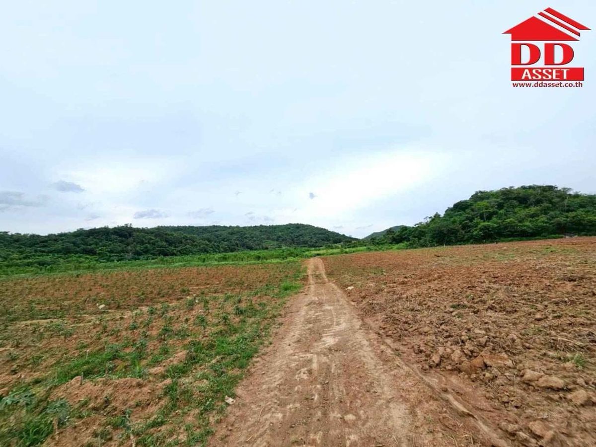 ขายที่ดินปากช่อง เขาใหญ่ : ขายที่ดินเปล่าเขาใหญ่ ตำบล หมูสี อำเภอปากช่อง  นครราชสีมา ใกล้ถนนธนรัชต์-เขาใหญ่เพียง 500 เมตร รหัส : L8044