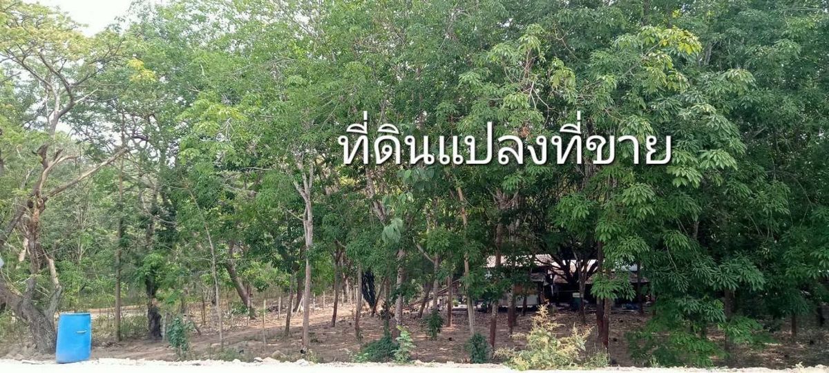 ขายที่ดินระยอง : ขายที่ดินระยอง ติดถนนนิคม สาย 9 ต.มาบข่า อ.นิคมพัฒนา ระยอง ตรงข้าม บจ.โปร ซัพพลาย หน้ากว้าง 98 ม. ลึก 477 ม.เนื้อที่รวม 31-2-52.3 ไร่ ราคา 75.914 ลบ.*