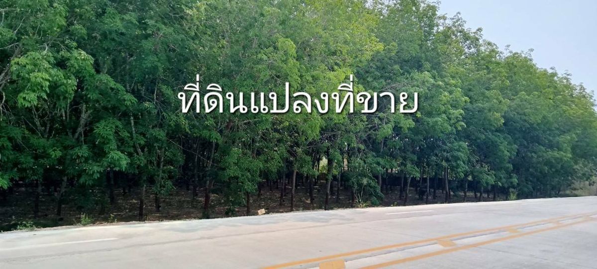 ขายที่ดินระยอง : ขายที่ดินระยอง ติดถนนนิคม สาย 9 ต.มาบข่า อ.นิคมพัฒนา ระยอง ตรงข้าม บจ.โปร ซัพพลาย หน้ากว้าง 98 ม. ลึก 477 ม.เนื้อที่รวม 31-2-52.3 ไร่ ราคา 75.914 ลบ.*