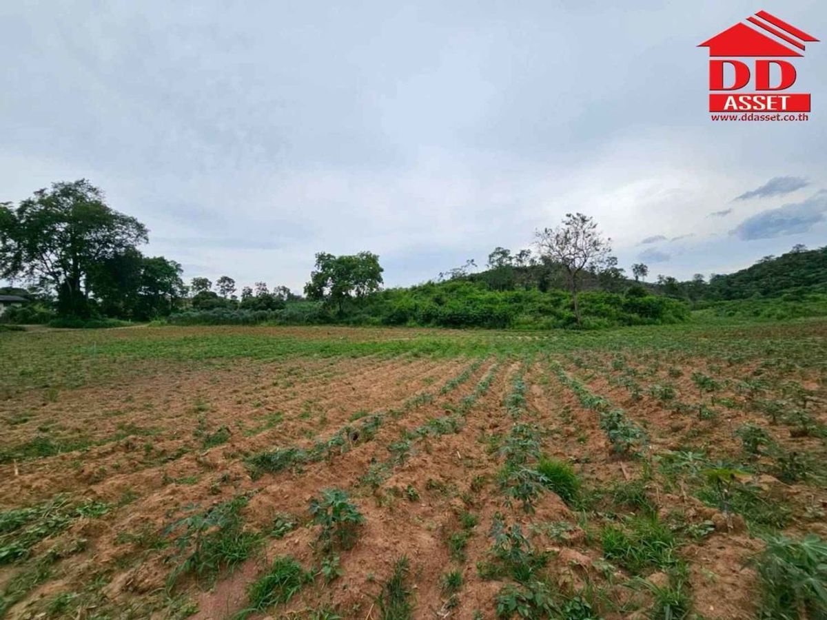 ขายที่ดินปากช่อง เขาใหญ่ : ขายที่ดินเปล่าเขาใหญ่ ตำบล หมูสี อำเภอปากช่อง  นครราชสีมา ใกล้ถนนธนรัชต์-เขาใหญ่เพียง 500 เมตร รหัส : L8044