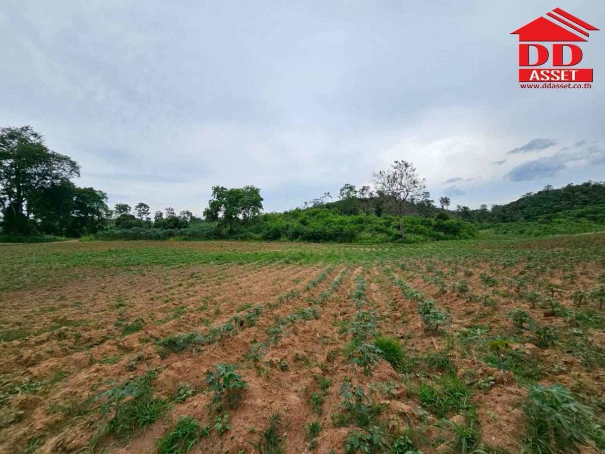 ขายที่ดินปากช่อง เขาใหญ่ : ขายที่ดินเปล่าเขาใหญ่ ตำบล หมูสี อำเภอปากช่อง  นครราชสีมา ใกล้ถนนธนรัชต์-เขาใหญ่เพียง 500 เมตร รหัส : L8044