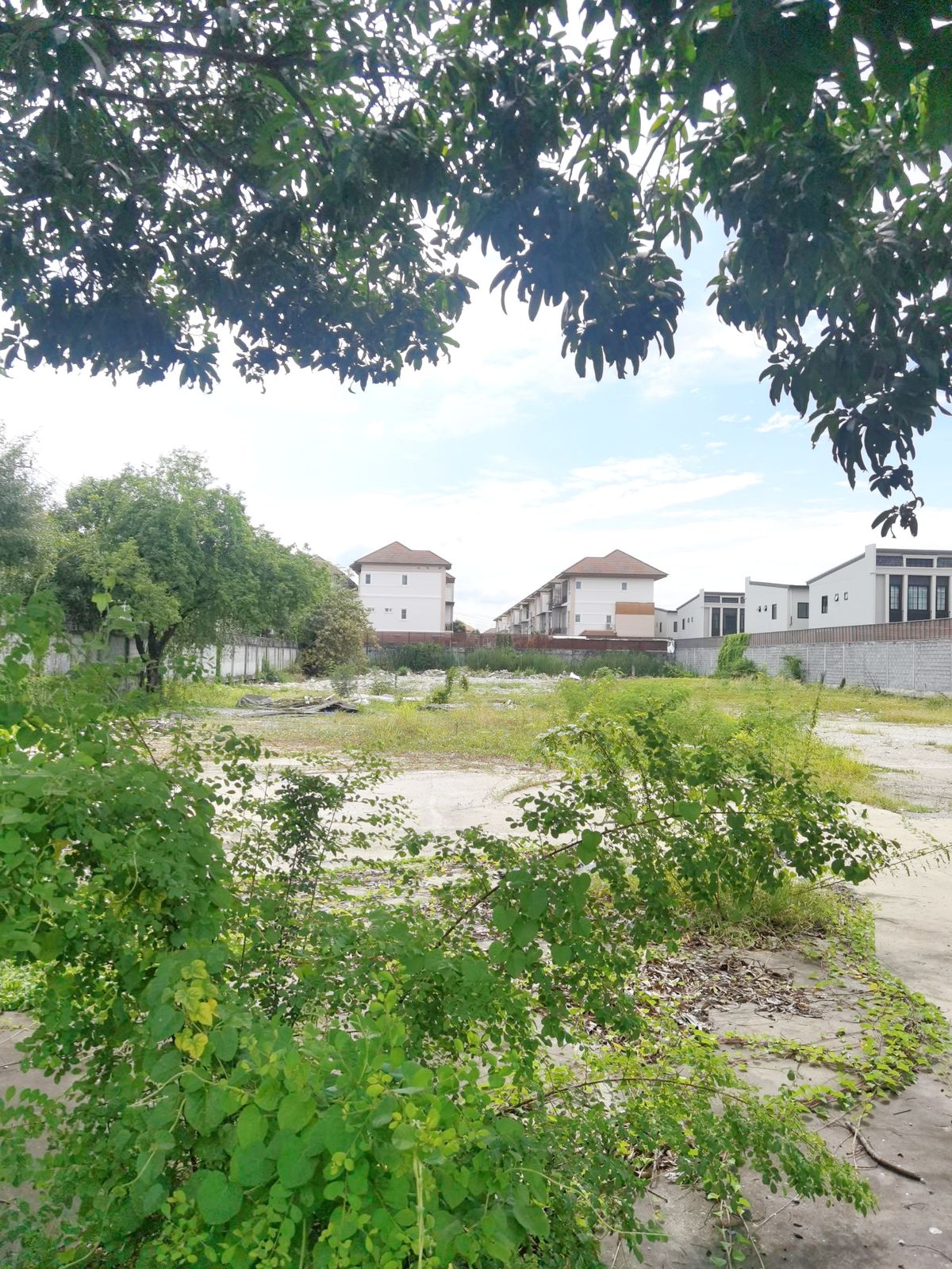 ขายที่ดินพระราม 5 ราชพฤกษ์ บางกรวย : 🔥 โอกาสทองของนักลงทุน! ที่ดินแปลงสวยถนนนครอินทร์ หลัง Makro ราคาดีที่สุดในย่าน! 🔥