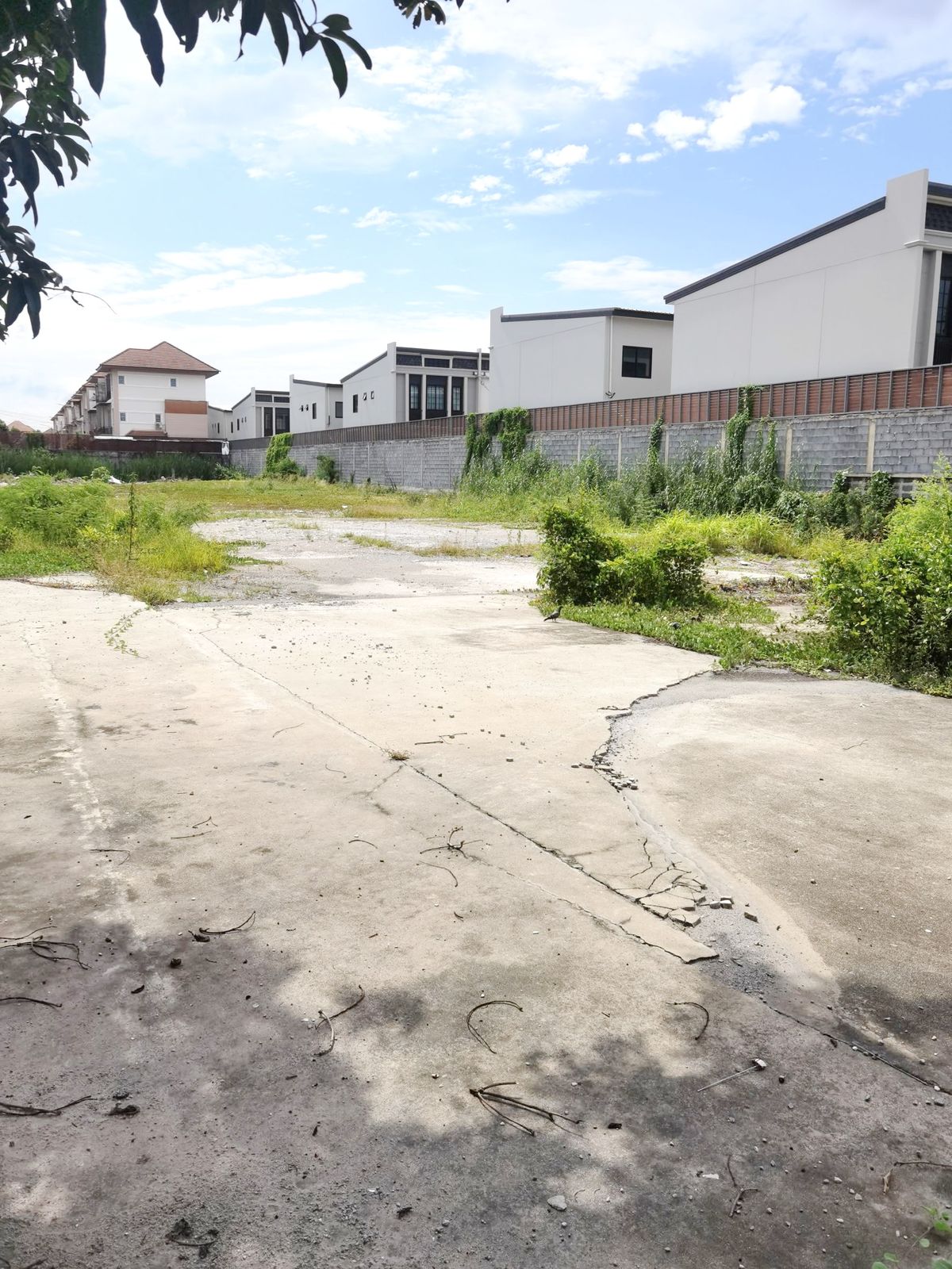 ขายที่ดินพระราม 5 ราชพฤกษ์ บางกรวย : 🔥 โอกาสทองของนักลงทุน! ที่ดินแปลงสวยถนนนครอินทร์ หลัง Makro ราคาดีที่สุดในย่าน! 🔥