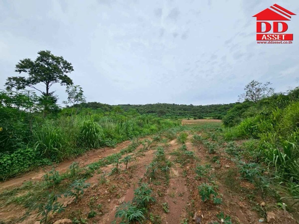 ขายที่ดินปากช่อง เขาใหญ่ : ขายที่ดินเปล่าเขาใหญ่ ตำบล หมูสี อำเภอปากช่อง  นครราชสีมา ใกล้ถนนธนรัชต์-เขาใหญ่เพียง 500 เมตร รหัส : L8044