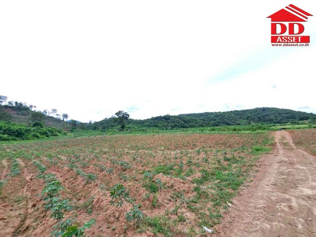 ขายที่ดินปากช่อง เขาใหญ่ : ขายที่ดินเปล่าเขาใหญ่ ตำบล หมูสี อำเภอปากช่อง  นครราชสีมา ใกล้ถนนธนรัชต์-เขาใหญ่เพียง 500 เมตร รหัส : L8044