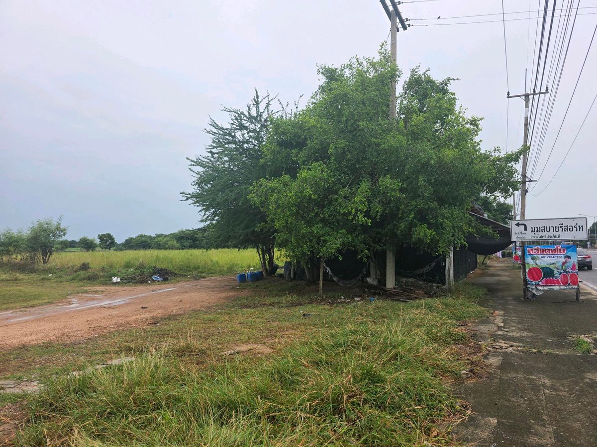 ขายที่ดินสุพรรณบุรี : [ขาย] ที่ดินถมแล้ว ติดถนนหลัก 3264 ดอนเจดีย์ สุพรรณบุรี หน้ากว้าง 90ม.ใกล้ตัวเมืองแค่ 2 กม. สนใจทักเลย📞0994152664 , 0803696366