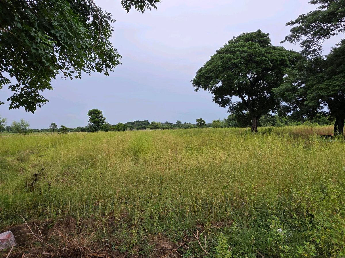 ขายที่ดินสุพรรณบุรี : [ขาย] ที่ดินถมแล้ว ติดถนนหลัก 3264 ดอนเจดีย์ สุพรรณบุรี หน้ากว้าง 90ม.ใกล้ตัวเมืองแค่ 2 กม. สนใจทักเลย📞0994152664 , 0803696366