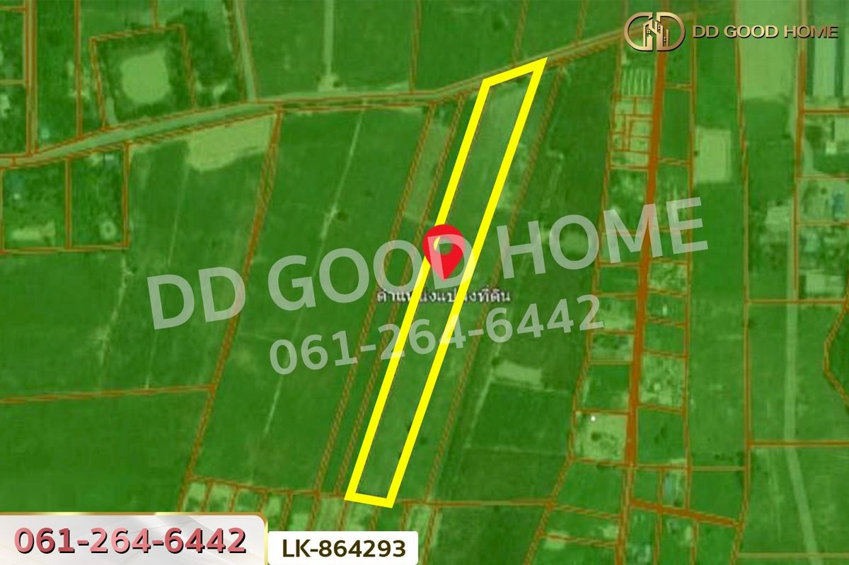 ขายที่ดินสุพรรณบุรี : FN-864293 ที่ดินหนองหญ้าไซ 12 ไร่ 204 ตร.ว. สุพรรณบุรี ใกล้โรงเรียนบ้านหนองสำโรง