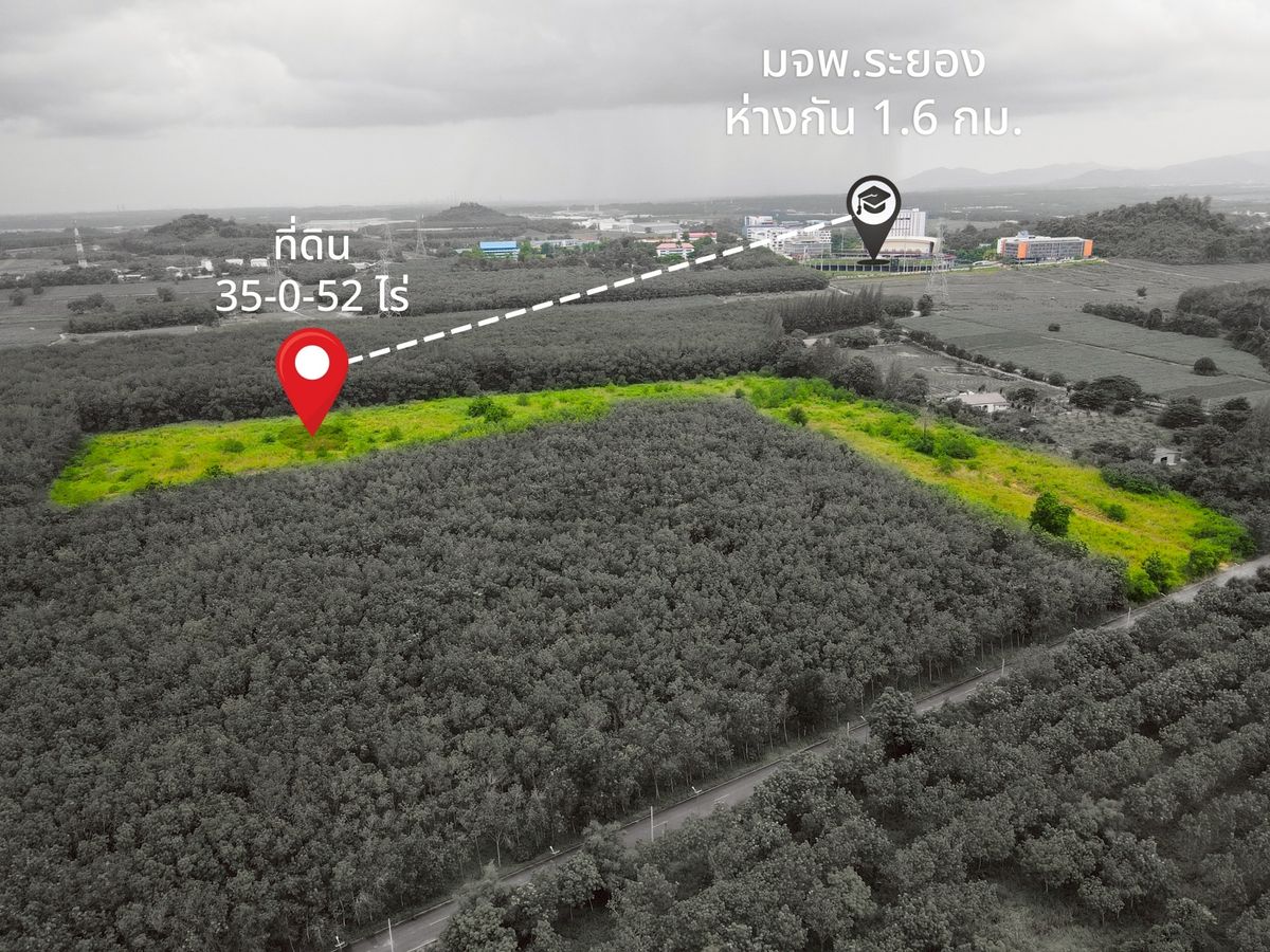 ขายที่ดินระยอง : ✨ โอกาสทอง! 35 ไร่ ทำเลหลังมหาวิทยาลัย มจพ. บ้านค่าย ✨  (FOR SALE) NUT2185