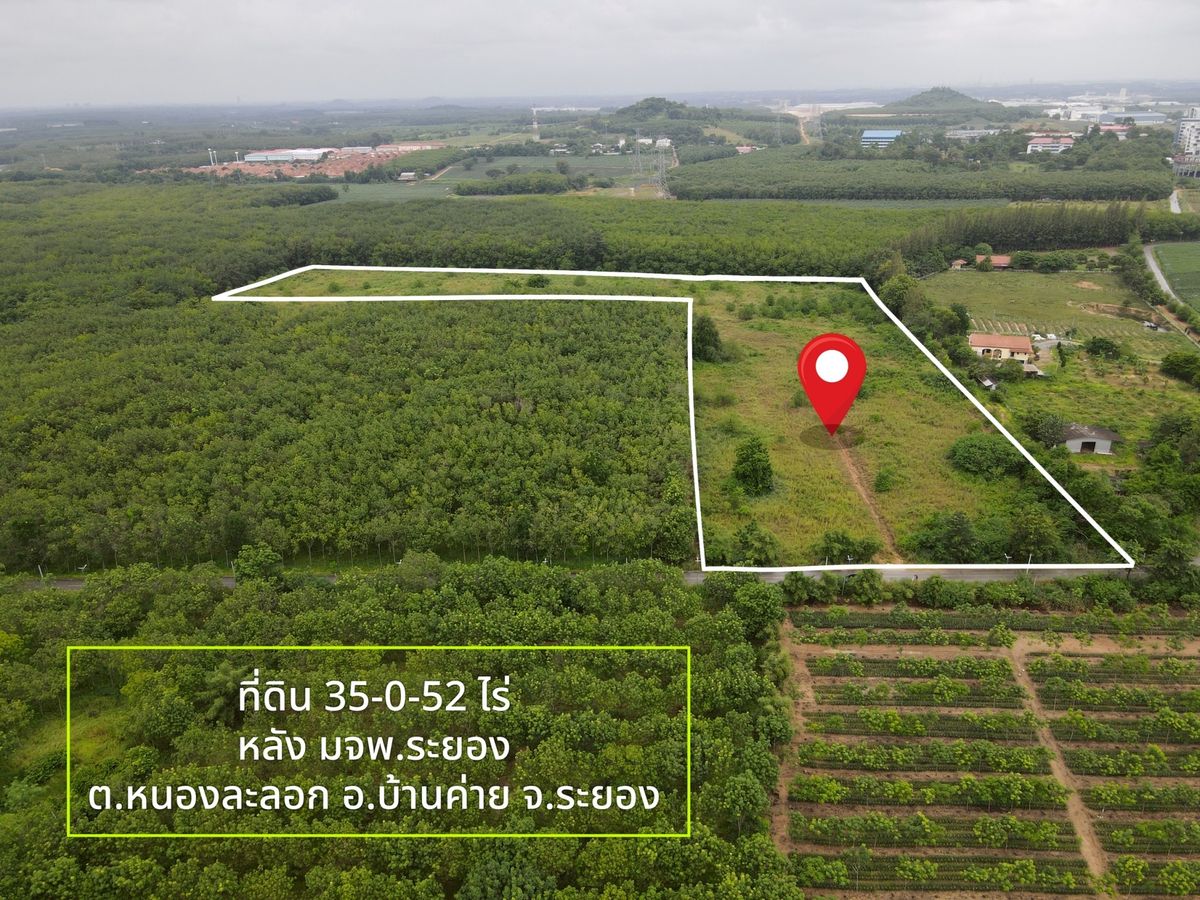 ขายที่ดินระยอง : ✨ โอกาสทอง! 35 ไร่ ทำเลหลังมหาวิทยาลัย มจพ. บ้านค่าย ✨  (FOR SALE) NUT2185