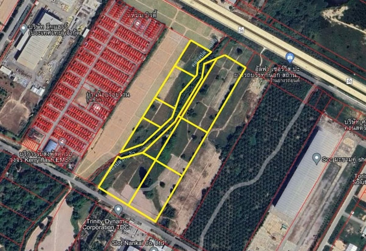 ขายที่ดินระยอง : ✨ แปลงใหญ่ใจกลางอุตสาหกรรม! ผังม่วงลาย ใกล้ถนนสาย 36  ✨ (FOR SALE) NUT2188