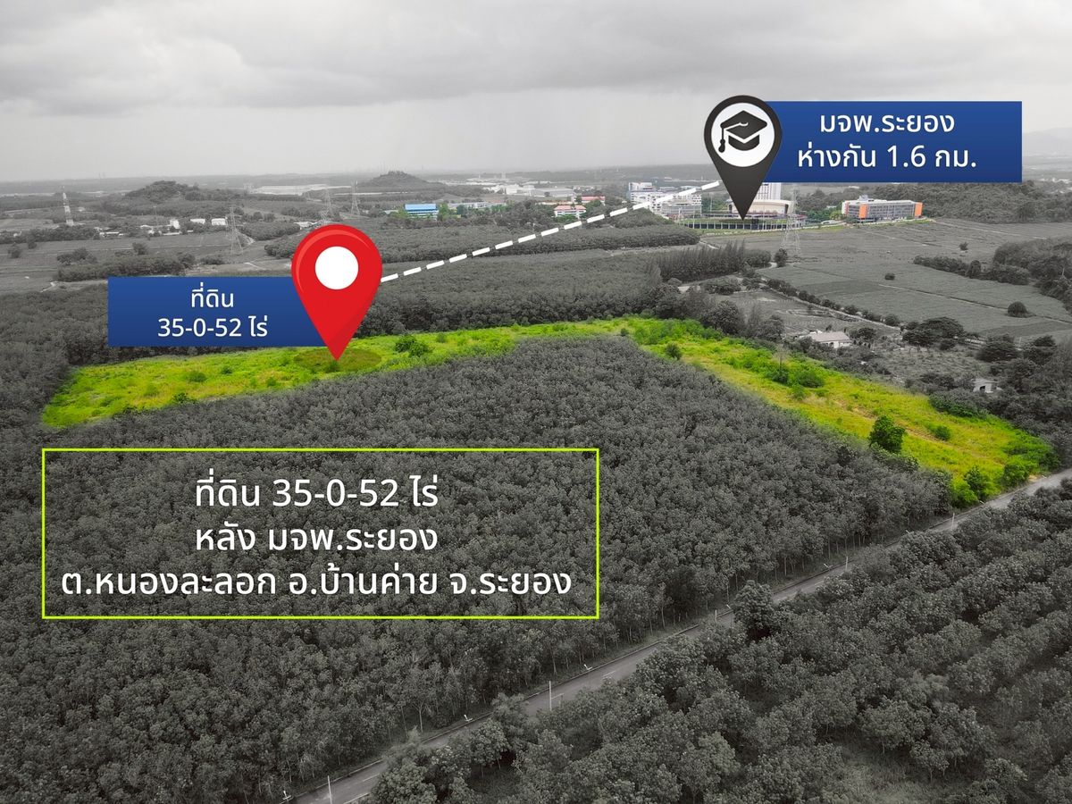 ขายที่ดินระยอง : ที่ดิน 35 ไร่ หลัง มจพ. หนองละลอก บ้านค่าย / ไร่ละ 1.8 ล้าน (ขาย), Land 35 Rai behind KMUTT Nong Lalok Ban Kai / 1.8M per Rai (FOR SALE) NUT2185