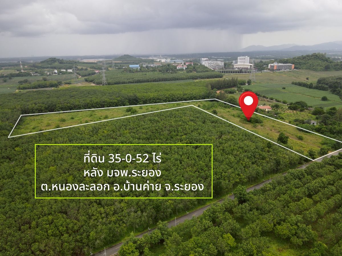 ขายที่ดินระยอง : ✨ โอกาสทอง! 35 ไร่ ทำเลหลังมหาวิทยาลัย มจพ. บ้านค่าย ✨  (FOR SALE) NUT2185