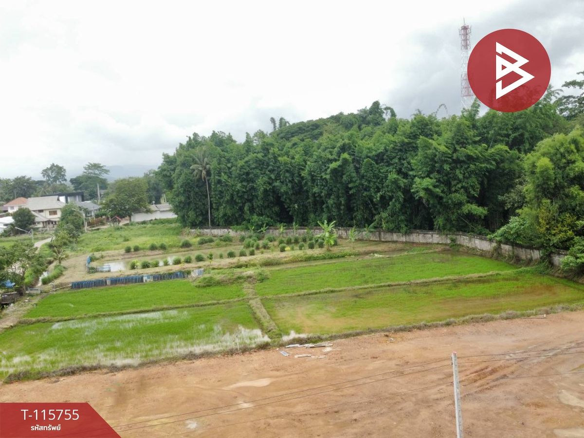 ขายที่ดินเชียงราย : ขายที่ดิน เนื้อที่ 2 ไร่ 72.9 ตร.วา เวียงชัย เชียงราย