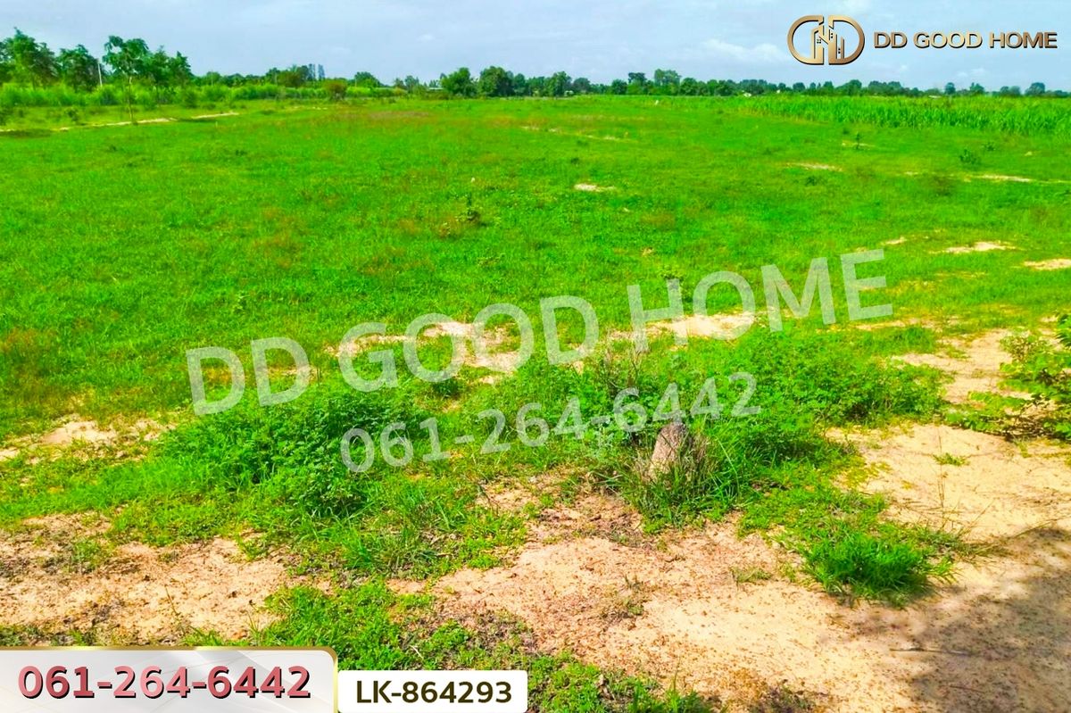 ขายที่ดินสุพรรณบุรี : FN-864293 ที่ดินหนองหญ้าไซ 12 ไร่ 204 ตร.ว. สุพรรณบุรี ใกล้โรงเรียนบ้านหนองสำโรง