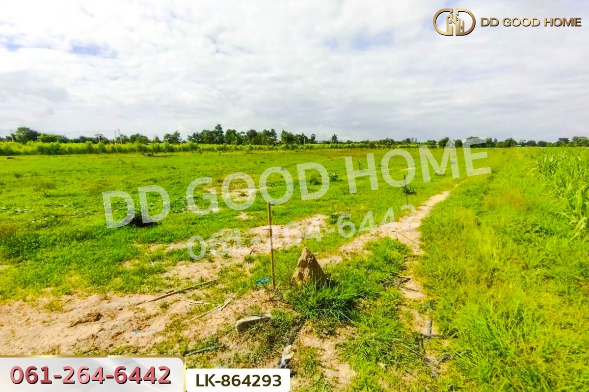 ขายที่ดินสุพรรณบุรี : FN-864293 ที่ดินหนองหญ้าไซ 12 ไร่ 204 ตร.ว. สุพรรณบุรี ใกล้โรงเรียนบ้านหนองสำโรง