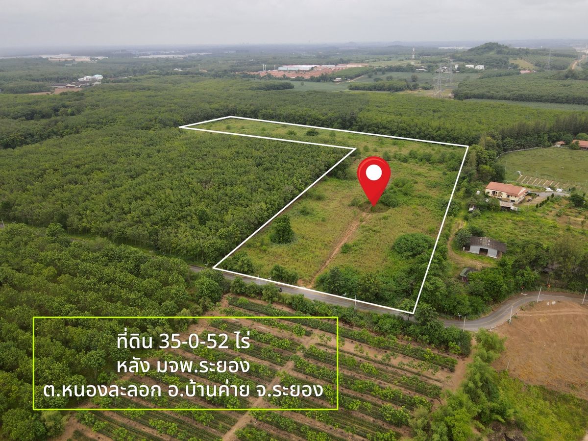 ขายที่ดินระยอง : ✨ โอกาสทอง! 35 ไร่ ทำเลหลังมหาวิทยาลัย มจพ. บ้านค่าย ✨  (FOR SALE) NUT2185