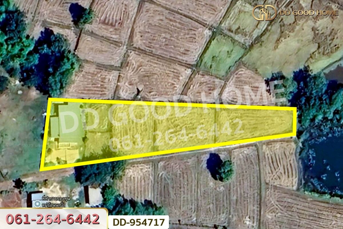 ขายที่ดินนครพนม : DD-954717 ที่ดินพร้อมสิ่งปลูกสร้างเรณูนคร 1 ไร่ 190 ตรว. นครพนม ใกล้องค์การบริหารส่วนตำบล เรณูใต้