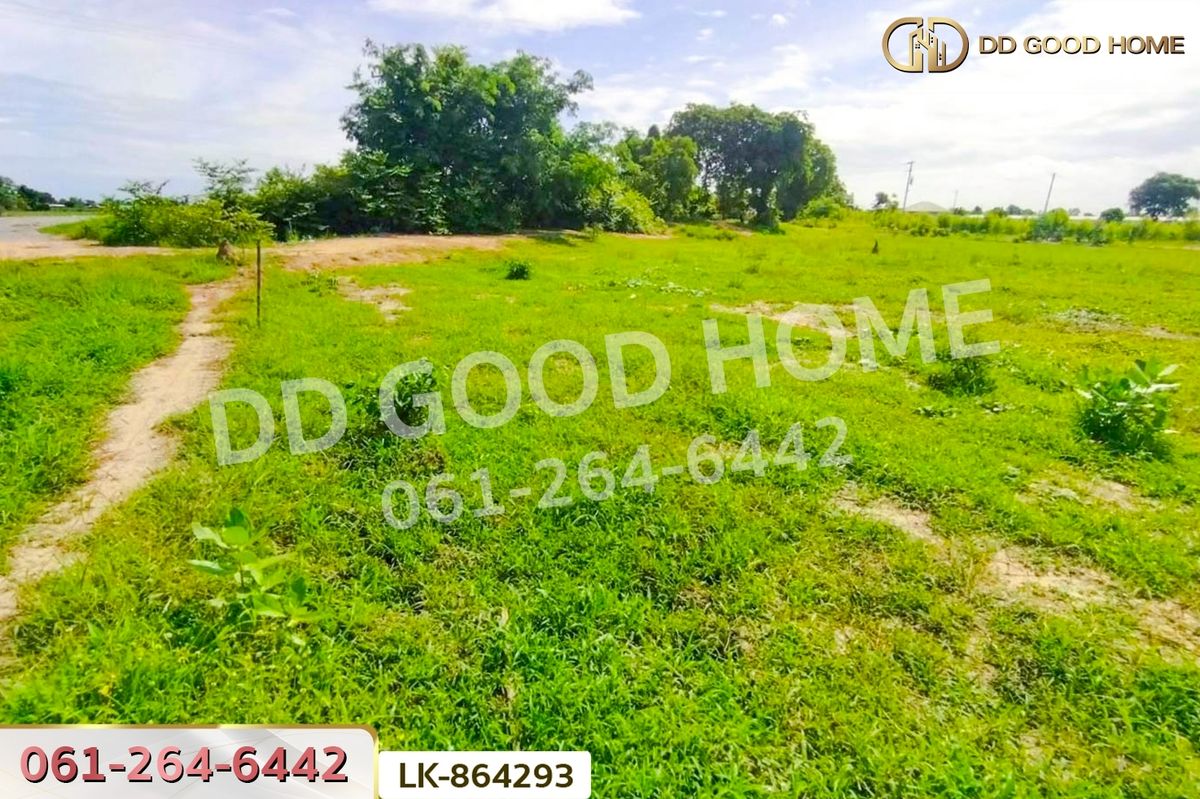 ขายที่ดินสุพรรณบุรี : FN-864293 ที่ดินหนองหญ้าไซ 12 ไร่ 204 ตร.ว. สุพรรณบุรี ใกล้โรงเรียนบ้านหนองสำโรง