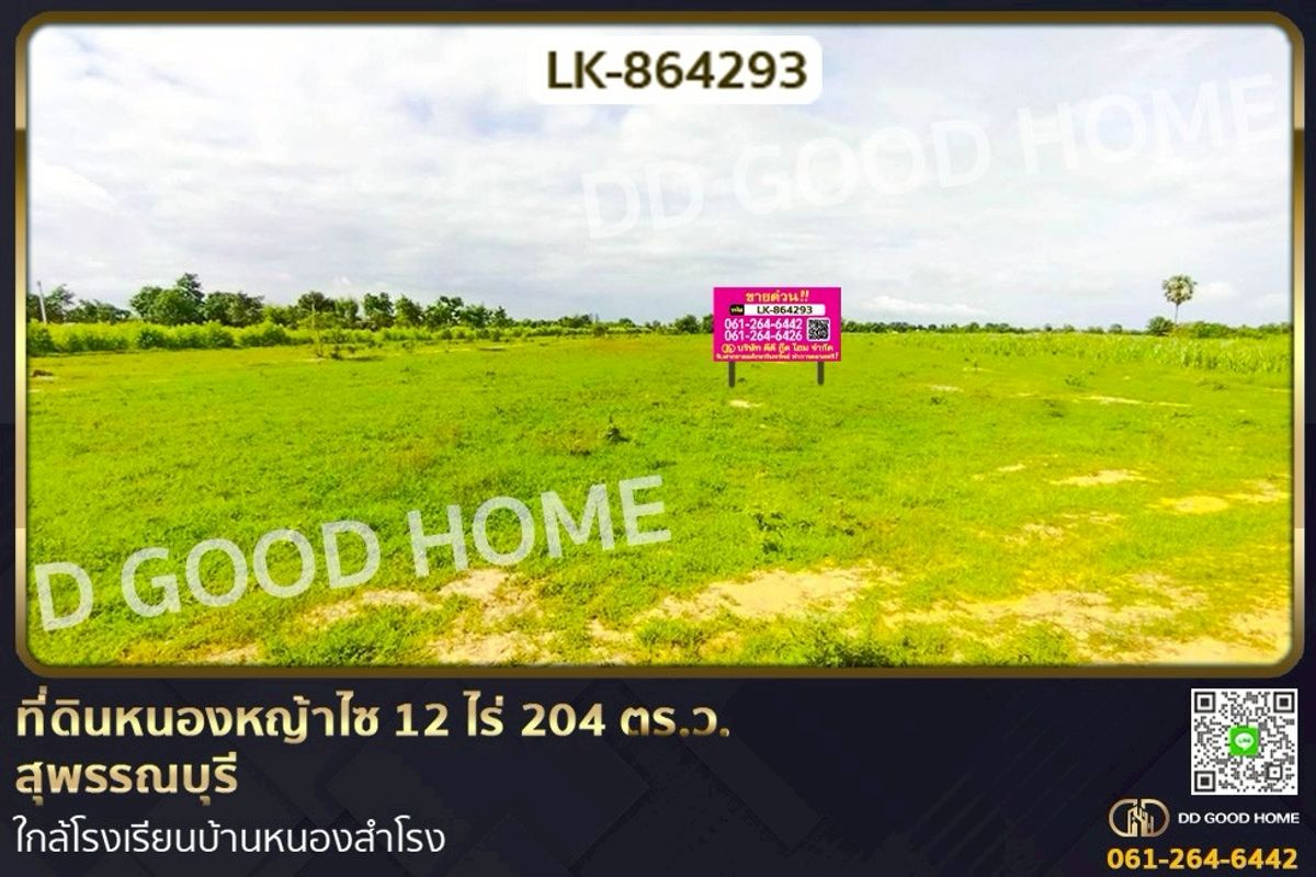 ขายที่ดินสุพรรณบุรี : LK-864293 ที่ดินหนองหญ้าไซ 12 ไร่ 204 ตร.ว. สุพรรณบุรี ใกล้โรงเรียนบ้านหนองสำโรง