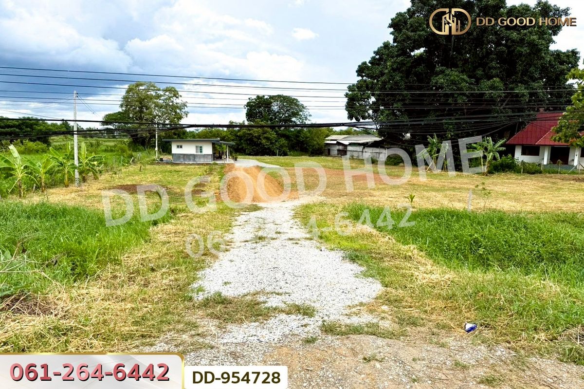 ขายที่ดินลำพูน : DD-954728 ที่ดินเมืองลำพูน 1 ไร่ 236 ตร.ว. ลำพูน ใกล้โกลบอลเฮ้าส์