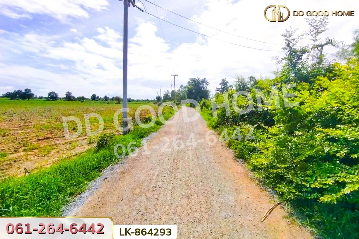 ขายที่ดินสุพรรณบุรี : FN-864293 ที่ดินหนองหญ้าไซ 12 ไร่ 204 ตร.ว. สุพรรณบุรี ใกล้โรงเรียนบ้านหนองสำโรง