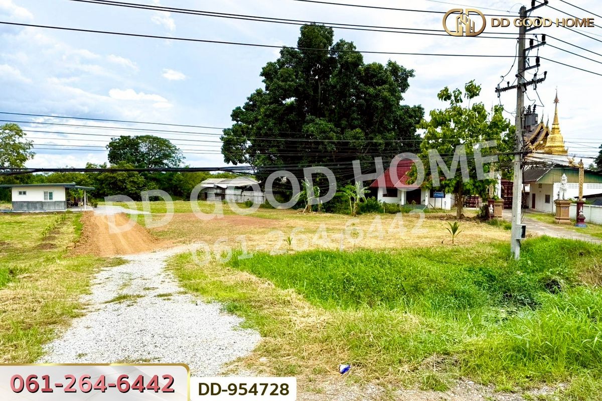 ขายที่ดินลำพูน : DD-954728 ที่ดินเมืองลำพูน 1 ไร่ 236 ตร.ว. ลำพูน ใกล้โกลบอลเฮ้าส์
