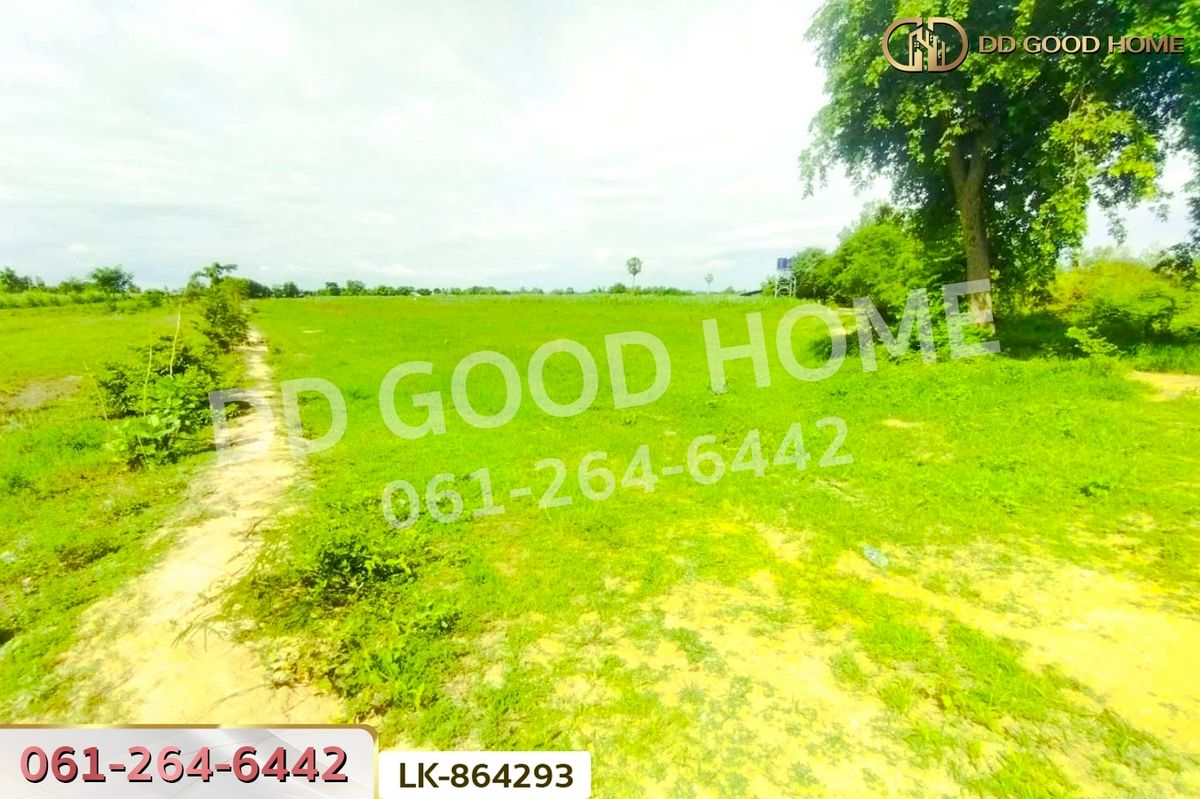 ขายที่ดินสุพรรณบุรี : FN-864293 ที่ดินหนองหญ้าไซ 12 ไร่ 204 ตร.ว. สุพรรณบุรี ใกล้โรงเรียนบ้านหนองสำโรง