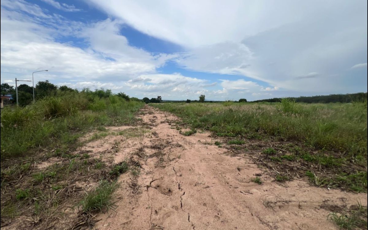 ขายที่ดินระยอง : ที่ดินแปลงใหญ่ทำเลดี กลางนิคมเศรษฐกิจ EEC นิคมพัฒนา ระยอง 48-1-74.8 ไร่