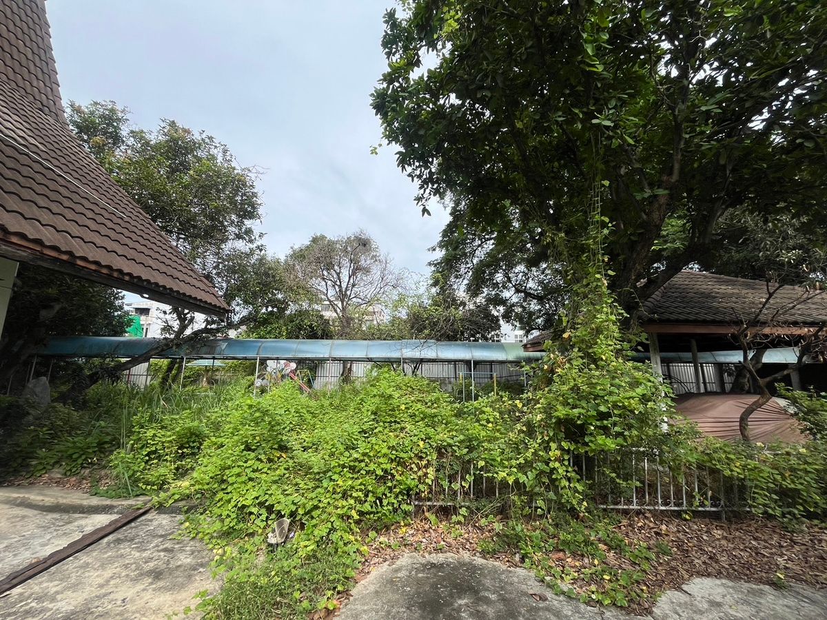 ให้เช่าบ้านลาดพร้าว เซ็นทรัลลาดพร้าว : ให้เช่าบ้านเก่าทรงยุโรป ที่ดินแปลงใหญ่ ลาดพร้าว 41 แยก 2 พร้อมสวนและสระว่ายน้ำ | เหมาะทำโฮมออฟฟิศ คาเฟ่ สตูดิโอ หรืออยู่อาศัย | สัญญาขั้นต่ำ 3 ปี  📍 บ้านให้เช่าใจกลางลาดพร้าว – โชคชัย 4 – รัชดาภิเษก ทรัพย์ Rare Item ที่หาไม่ได้อีกแล้ว! 