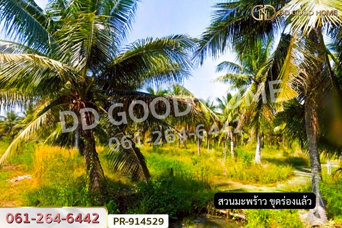 ขายที่ดินสมุทรสงคราม : WR-914529 ที่ดินลาดใหญ่ 5 ไร่ 23 ตร.ว. สมุทรสงคราม ใกล้วัดลาดเป้ง