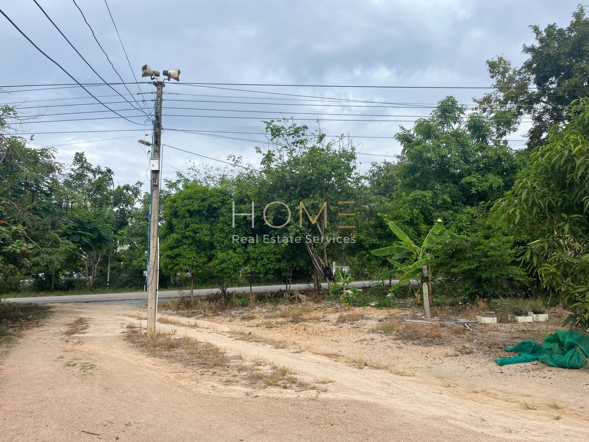 ขายที่ดินระยอง : ✨ ที่ดินผังม่วงลาย ทำเลอุตสาหกรรม นิคมพัฒนา ใกล้ถนน 36 เพียง 250 ม. ✨  (FOR SALE) NUT2187