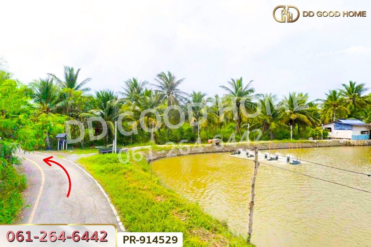 ขายที่ดินสมุทรสงคราม : WR-914529 ที่ดินลาดใหญ่ 5 ไร่ 23 ตร.ว. สมุทรสงคราม ใกล้วัดลาดเป้ง