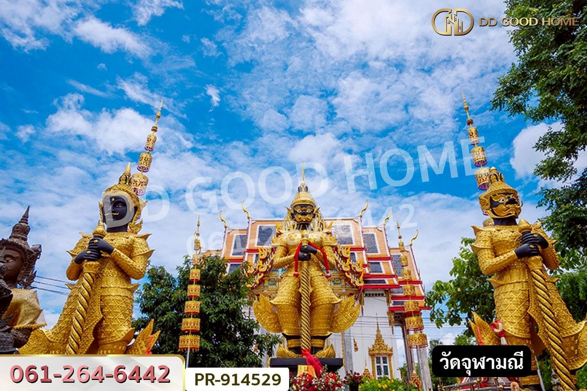 ขายที่ดินสมุทรสงคราม : WR-914529 ที่ดินลาดใหญ่ 5 ไร่ 23 ตร.ว. สมุทรสงคราม ใกล้วัดลาดเป้ง