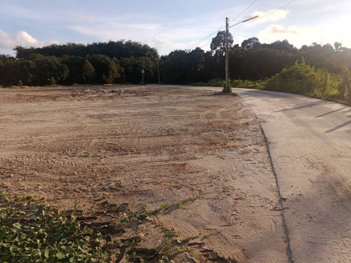 ขายที่ดินระยอง : ที่ดินแปลงเล็ก สวย ทำเลดี บ้านเพ ระยอง ใกล้ธรรมชาติและทะเล 397 ตร.ว. 