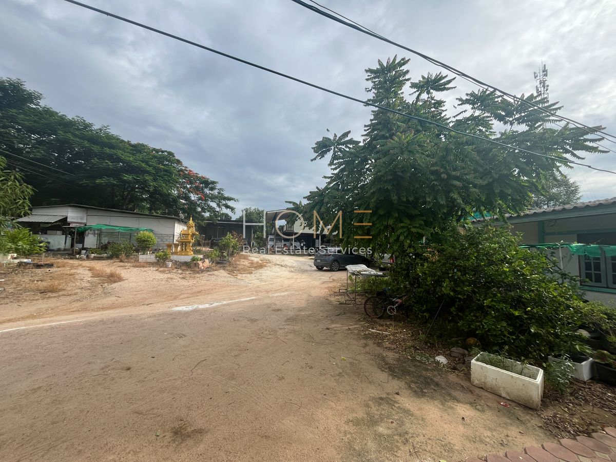 ขายที่ดินระยอง : ✨ ที่ดินผังม่วงลาย ทำเลอุตสาหกรรม นิคมพัฒนา ใกล้ถนน 36 เพียง 250 ม. ✨  (FOR SALE) NUT2187