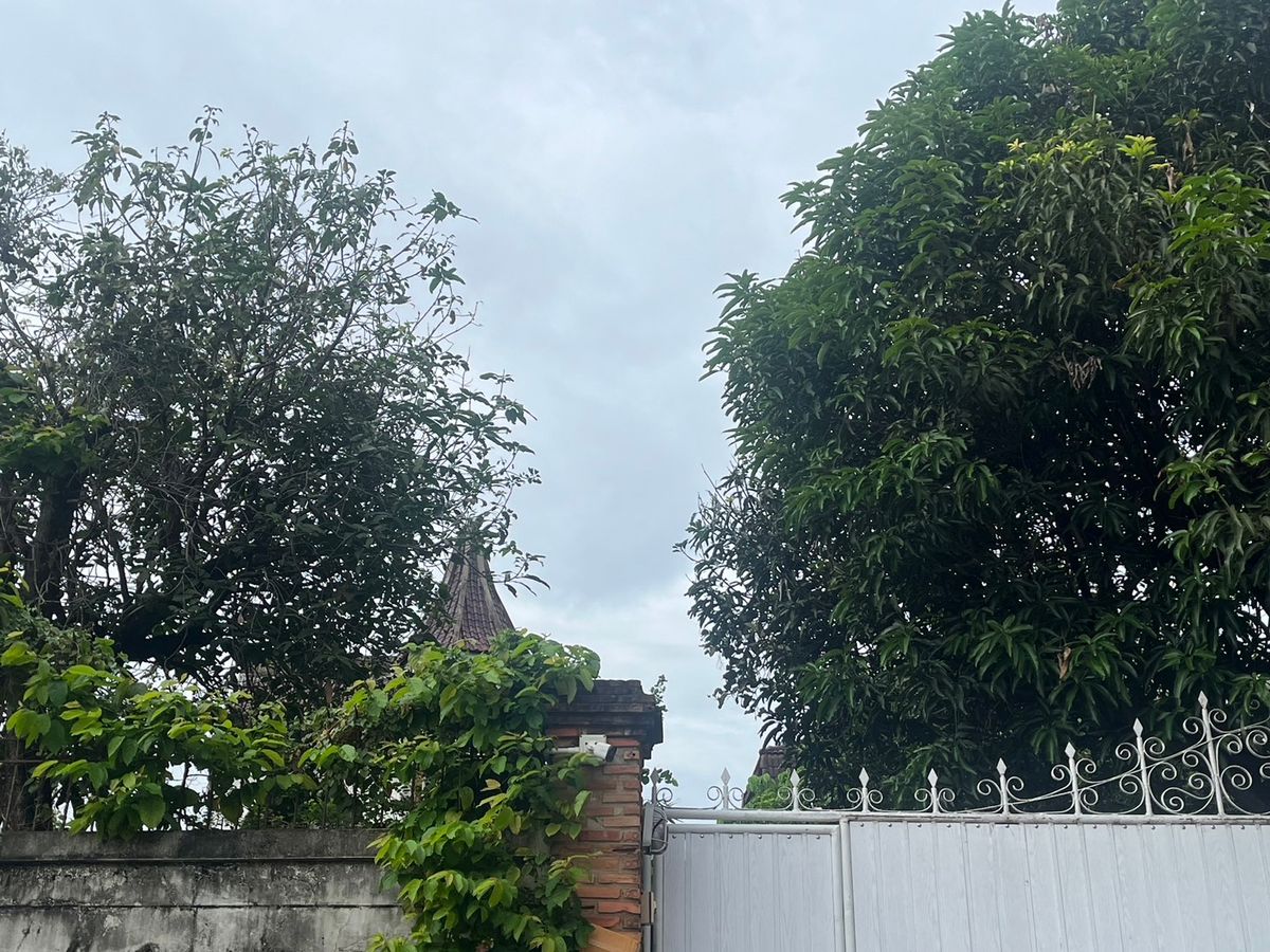 ให้เช่าบ้านลาดพร้าว เซ็นทรัลลาดพร้าว : ให้เช่าบ้านเก่าทรงยุโรป ที่ดินแปลงใหญ่ ลาดพร้าว 41 แยก 2 พร้อมสวนและสระว่ายน้ำ | เหมาะทำโฮมออฟฟิศ คาเฟ่ สตูดิโอ หรืออยู่อาศัย | สัญญาขั้นต่ำ 3 ปี  📍 บ้านให้เช่าใจกลางลาดพร้าว – โชคชัย 4 – รัชดาภิเษก ทรัพย์ Rare Item ที่หาไม่ได้อีกแล้ว! 