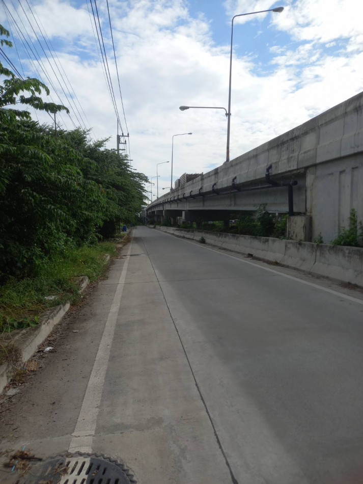 ขายที่ดินปทุมธานี รังสิต ธรรมศาสตร์ : ขาย ที่ดิน ปทุมธานี สามโคก เนื้อที่ 3 ไร่ 3 งาน 85 ตรว