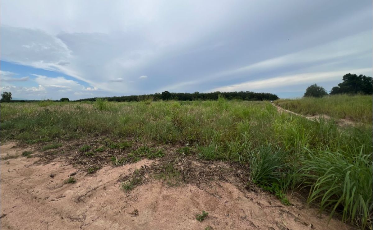 ขายที่ดินระยอง : ที่ดินแปลงใหญ่ทำเลดี กลางนิคมเศรษฐกิจ EEC นิคมพัฒนา ระยอง 48-1-74.8 ไร่