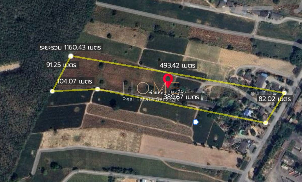 ขายที่ดินระยอง : ✨ ที่ดินผังม่วงลาย ทำเลอุตสาหกรรม นิคมพัฒนา ใกล้ถนน 36 เพียง 250 ม. ✨  (FOR SALE) NUT2187