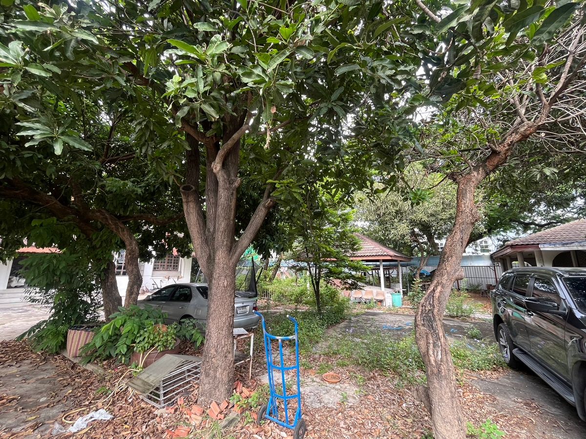 ให้เช่าบ้านลาดพร้าว เซ็นทรัลลาดพร้าว : ให้เช่าบ้านเก่าทรงยุโรป ที่ดินแปลงใหญ่ ลาดพร้าว 41 แยก 2 พร้อมสวนและสระว่ายน้ำ | เหมาะทำโฮมออฟฟิศ คาเฟ่ สตูดิโอ หรืออยู่อาศัย | สัญญาขั้นต่ำ 3 ปี  📍 บ้านให้เช่าใจกลางลาดพร้าว – โชคชัย 4 – รัชดาภิเษก ทรัพย์ Rare Item ที่หาไม่ได้อีกแล้ว! 