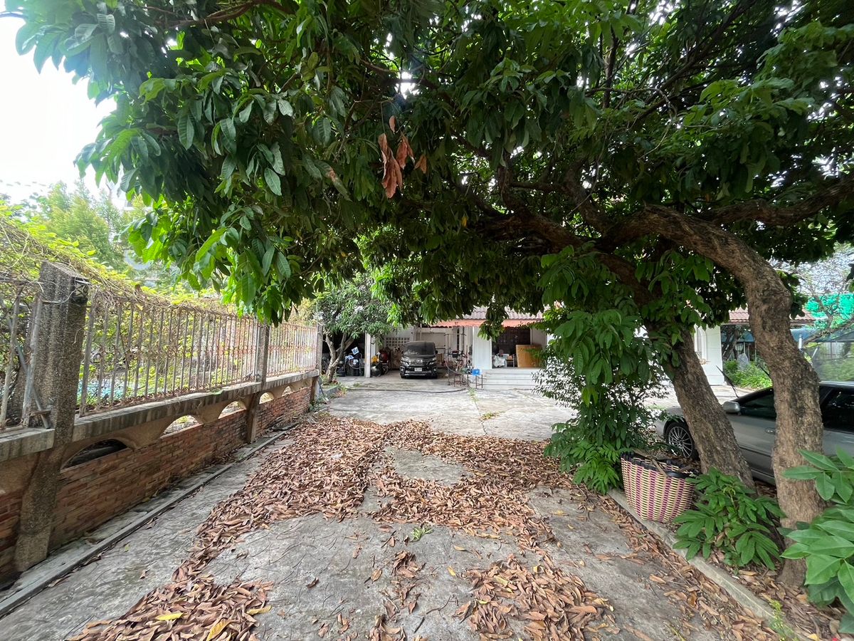 ให้เช่าบ้านลาดพร้าว เซ็นทรัลลาดพร้าว : ให้เช่าบ้านเก่าทรงยุโรป ที่ดินแปลงใหญ่ ลาดพร้าว 41 แยก 2 พร้อมสวนและสระว่ายน้ำ | เหมาะทำโฮมออฟฟิศ คาเฟ่ สตูดิโอ หรืออยู่อาศัย | สัญญาขั้นต่ำ 3 ปี  📍 บ้านให้เช่าใจกลางลาดพร้าว – โชคชัย 4 – รัชดาภิเษก ทรัพย์ Rare Item ที่หาไม่ได้อีกแล้ว! 