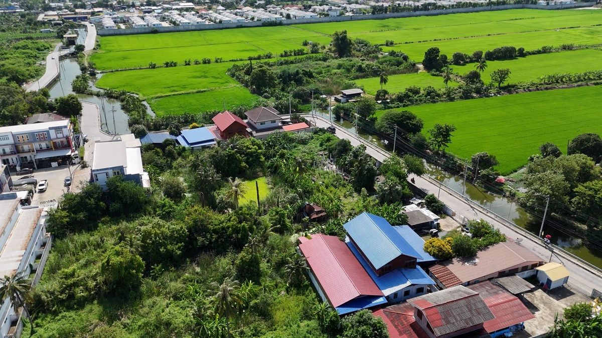 ขายที่ดินนนทบุรี บางใหญ่ บางบัวทอง : ขายที่ดิน 3 ไร่ 1 งาน ติดถนนเลียบคลองบางไผ่ ใกล้วัดลาดปลาดุก