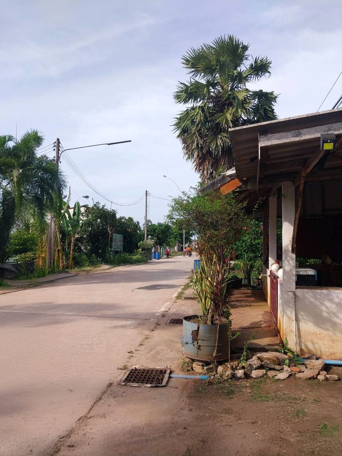 ขายที่ดินหาดใหญ่ สงขลา : BG 20188 : ที่ดินว่างเปล่า